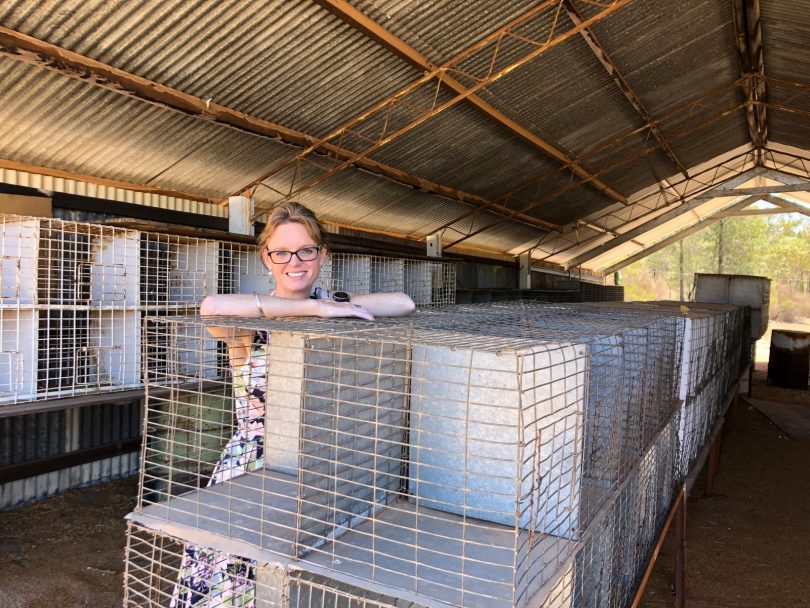 Member for Cootamundra Steph Cooke standing in rural shed.