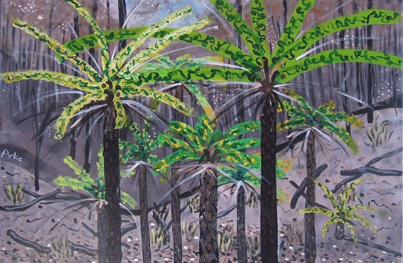 An artwork of tree ferns of the Towamba Valley.