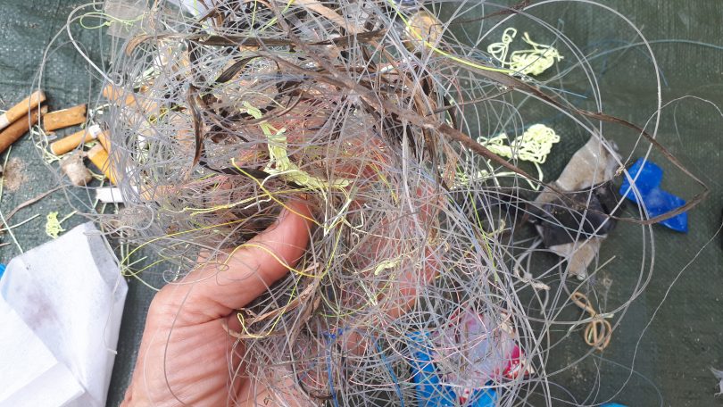 Discarded tangled fishing line found at Moruya Breakwall.