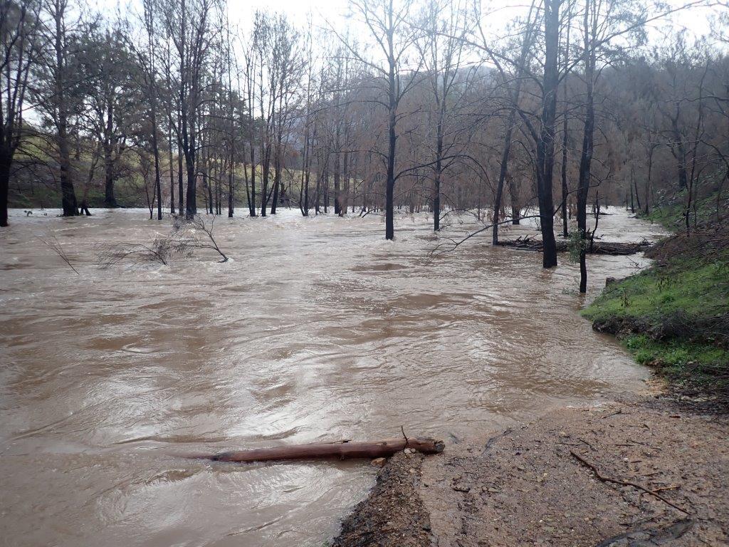 UPDATED: SES warns evacuations may be necessary as Moruya River rises