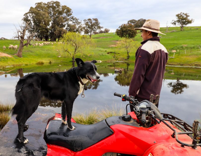 Grazier Will Picker on farm looking at full dam, with dog standing on quad bike.