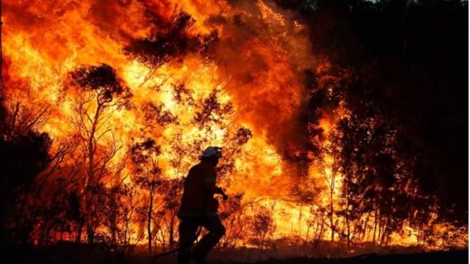 Firefighter battling bushfire.