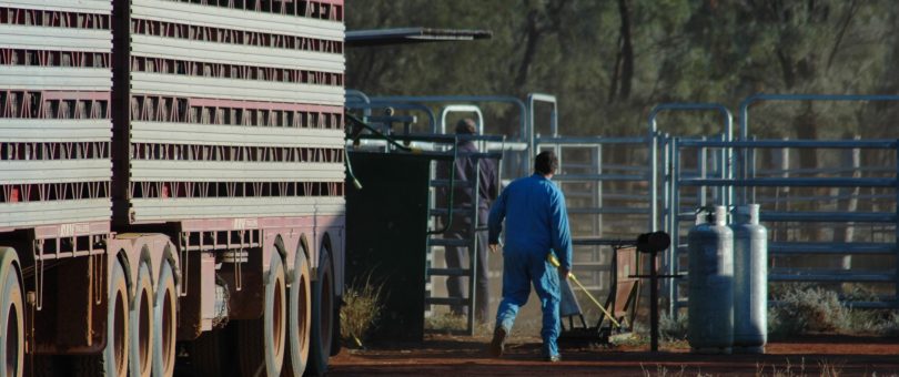 The yards are used to load livestock onto trucks to take them to sales. They are also used to rest and treat livestock on their journey.