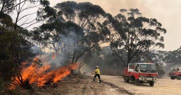 New legislation gives NSW Rural Fire Service firefighters more powers to close roads