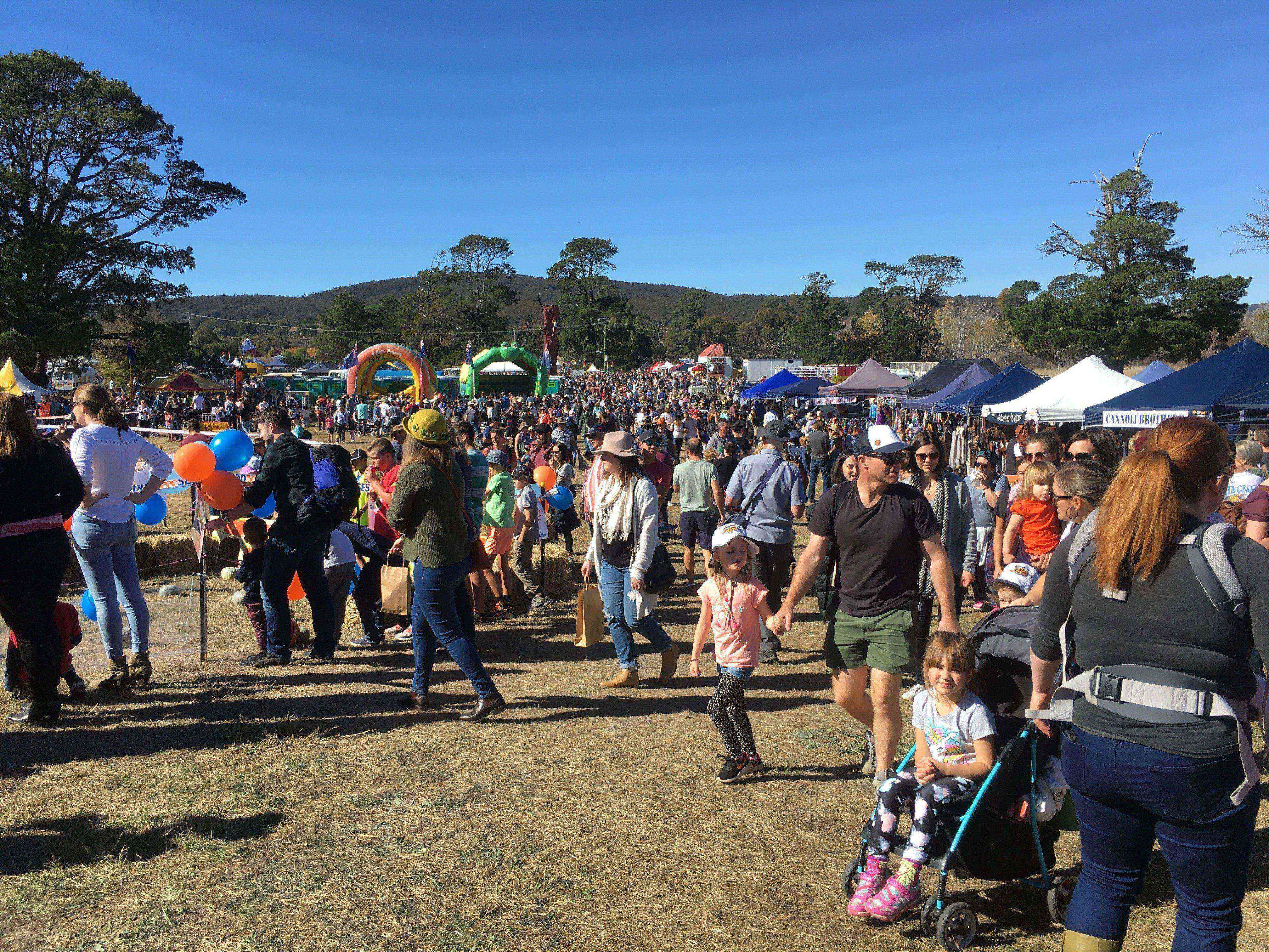 'Will be sorely missed': Collector Village Pumpkin Festival shut down by COVID-19 pandemic