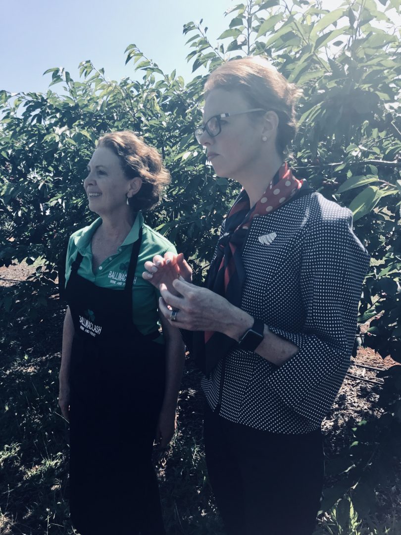 MP Steph Cooke with Cath Mullany at Ballinaclash orchard near Young.