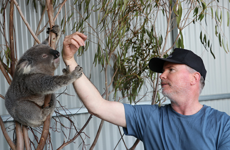 James Fitzgerald extending arm to Paul the Koala in tree.