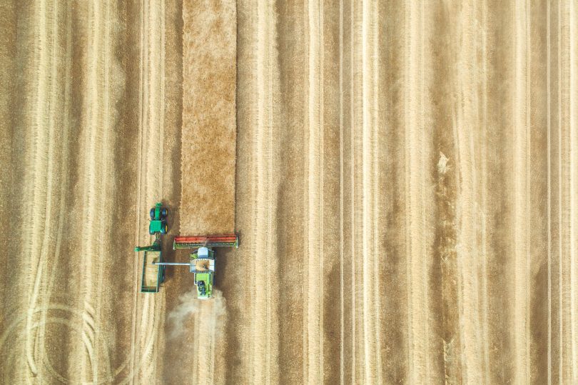 Arial view of combine cutting through wheat field.