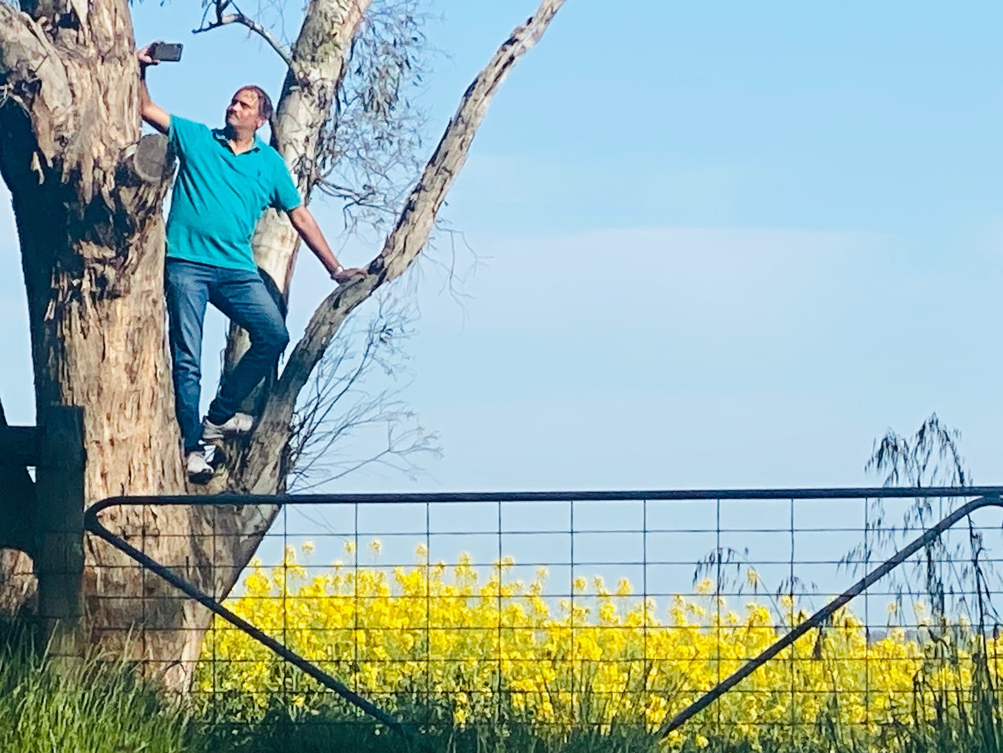 Instagrammers swarm canola fields and frustrate farmers