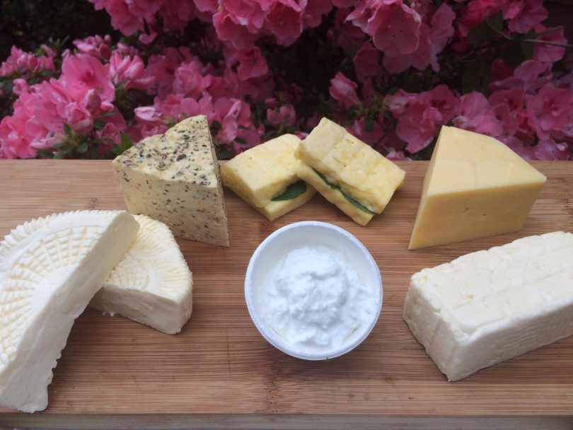 Selection of Niagara Lane cheeses.