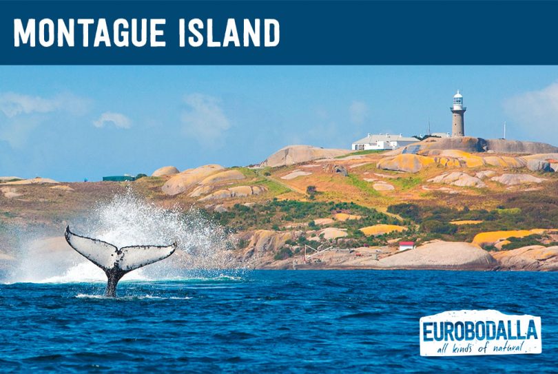 Eurobodalla vPostcard of whale and lighthouse.