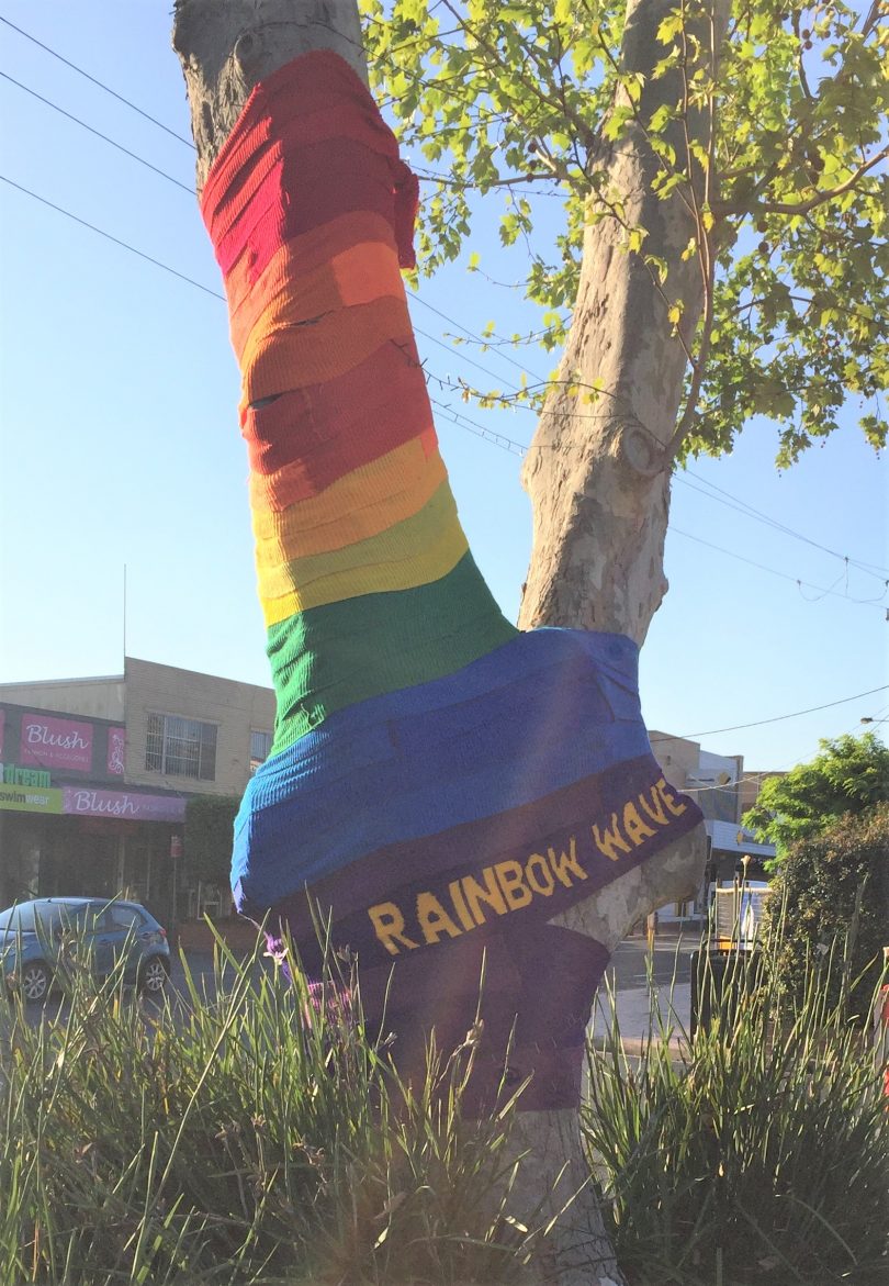 Knitted rainbow adornment on tree in Merimbula.