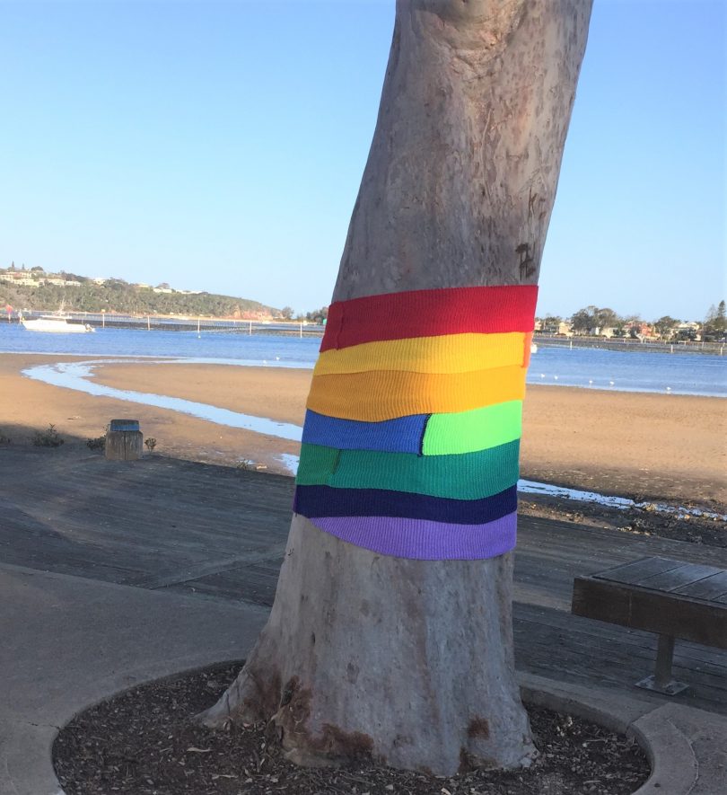 Rainbow knitting around tree at Merimbula beach.
