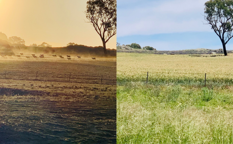 Comparison of Young property from drought to green pasture.