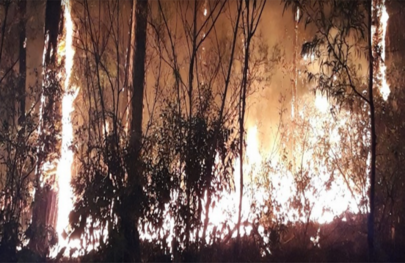Bushfire at Malua Bay.