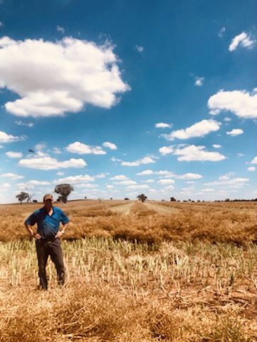 Jamie Watson standing in canola field at 'South.Greenbank' property.