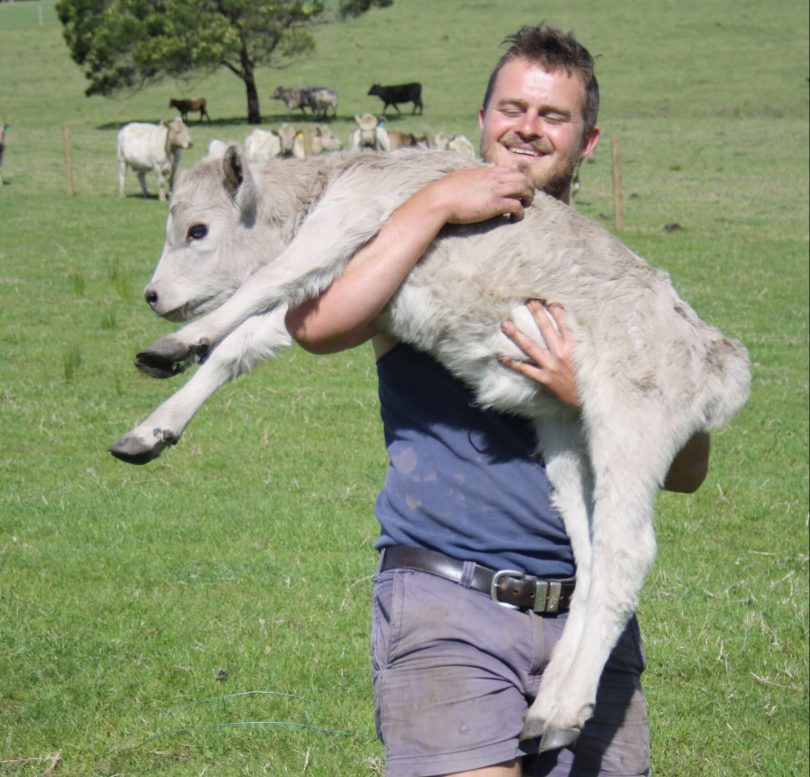 Man holding a calf on rural property