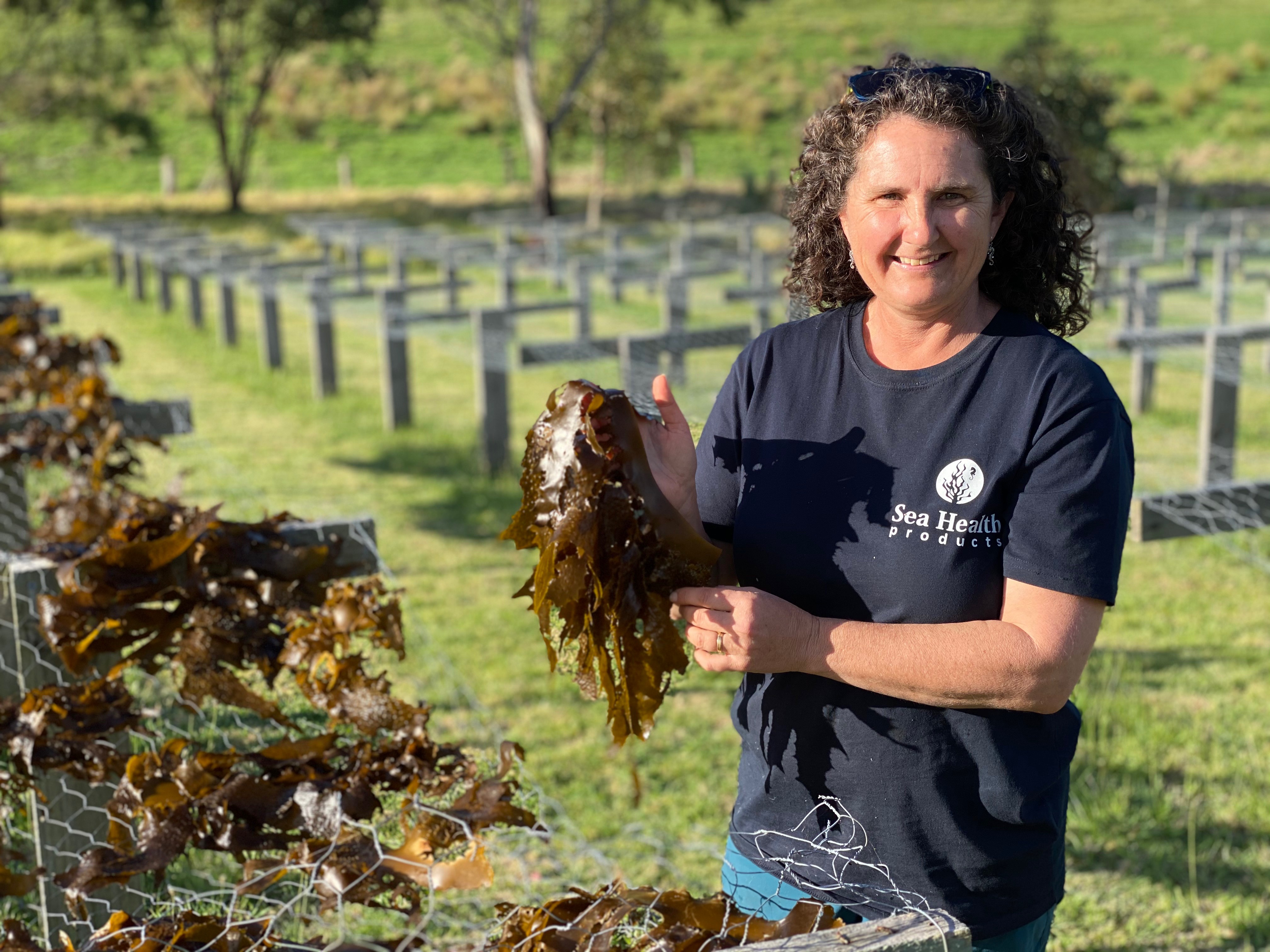 Meet the Makers: Seaweed scientist Jo Lane's tasty new venture