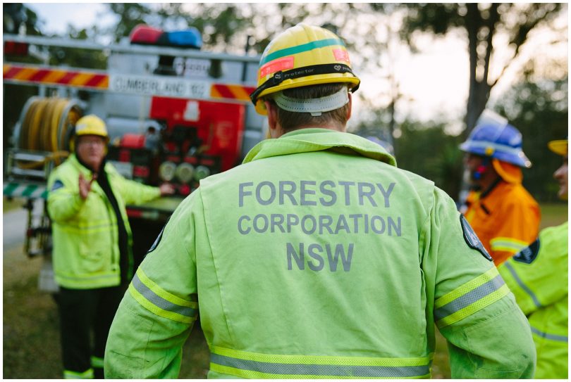 Forestry Corporation workers at bootcamp.