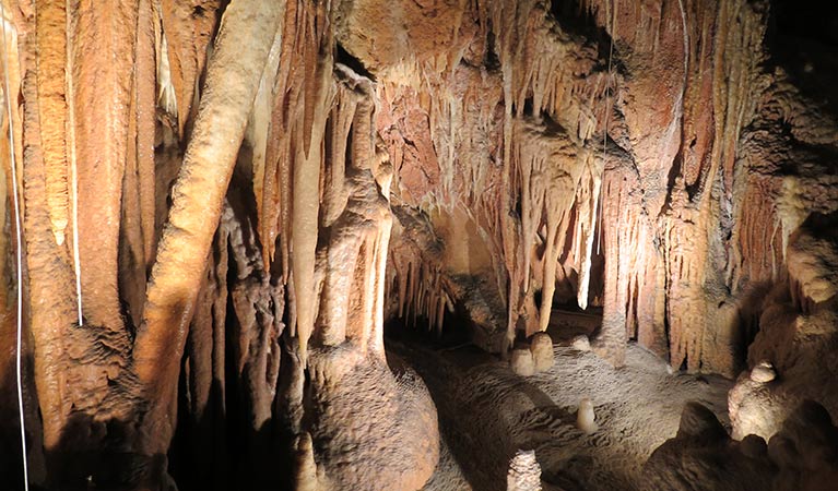 Jillabenan Cave stalactites.