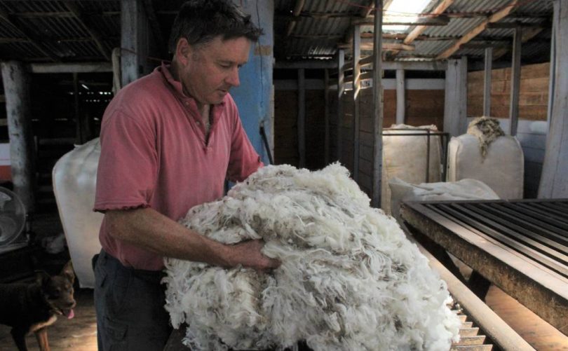 Ed Storey holding sheep's wool.