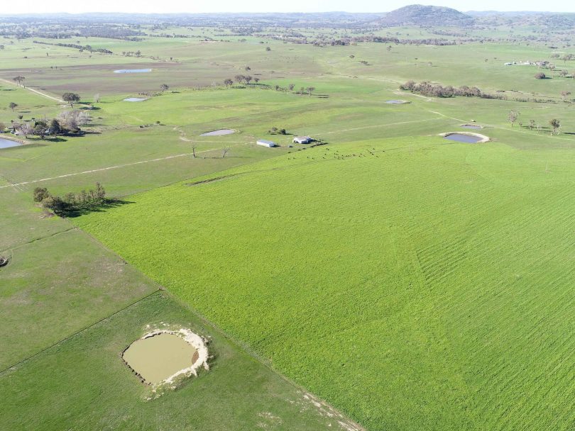 Aerial view of 'Tannoch Brae' property in Bowning.
