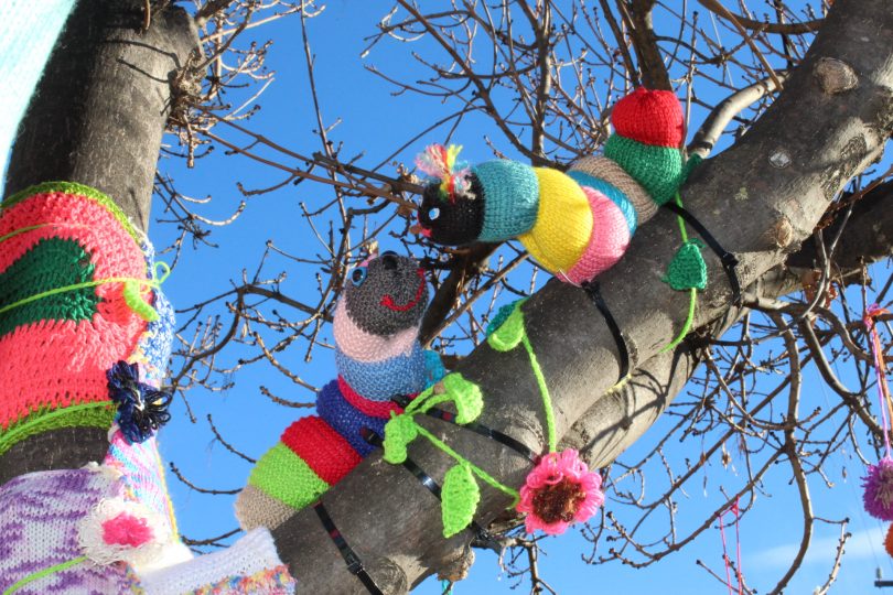 Yarnbombing installation in tree.