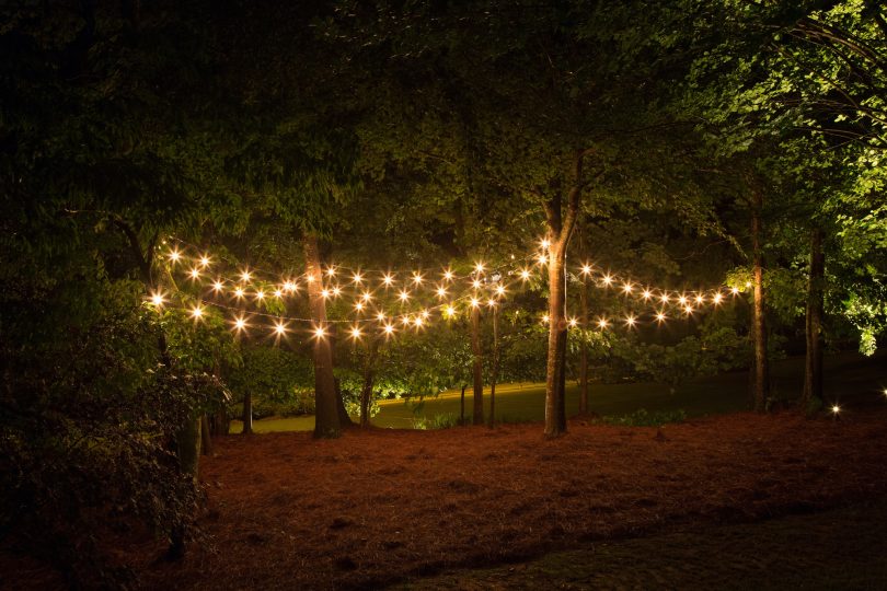 Lights strung between trees, illuminated at night.