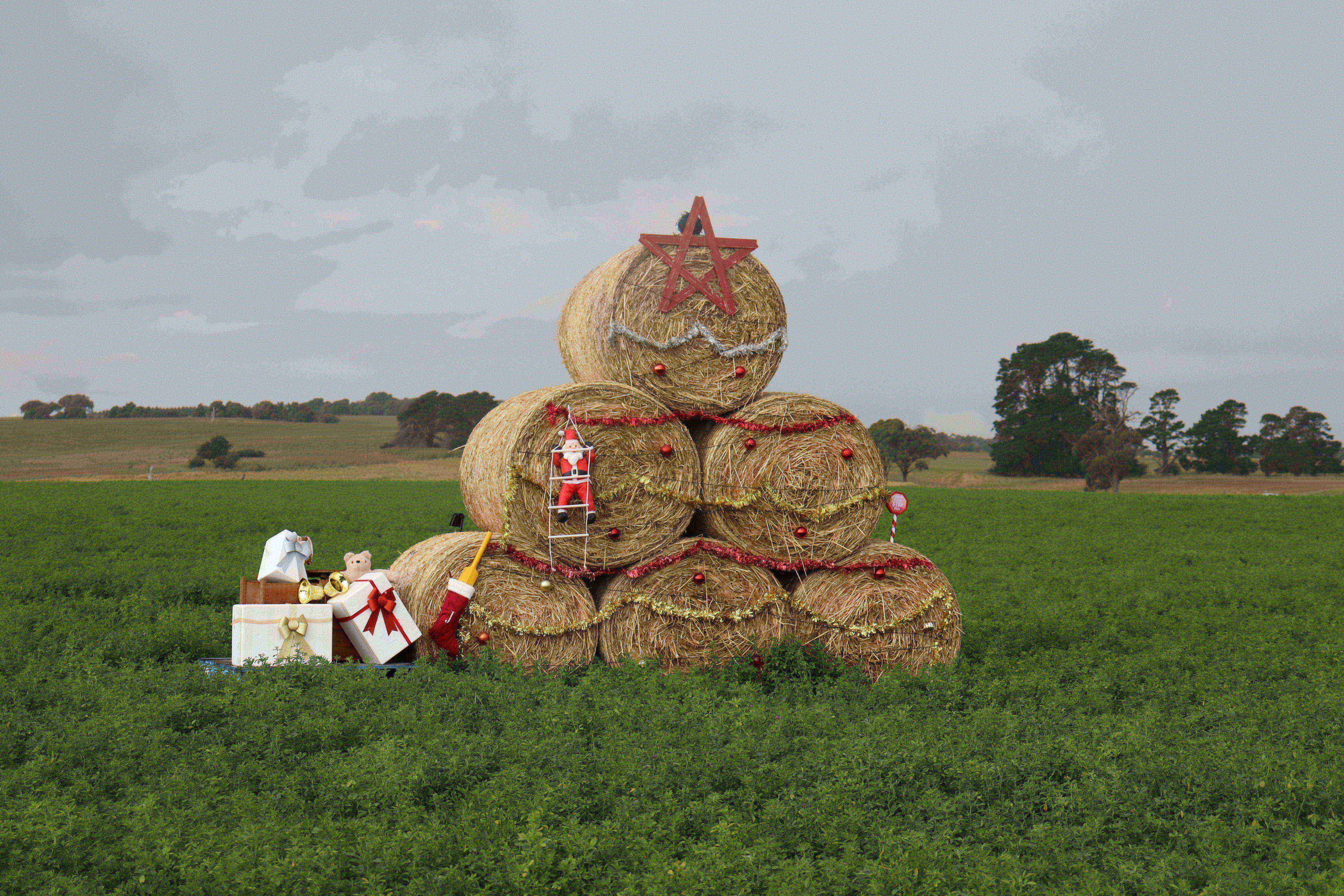 Hay, hay, hay! Have yourself a very country Christmas: PHOTO GALLERY