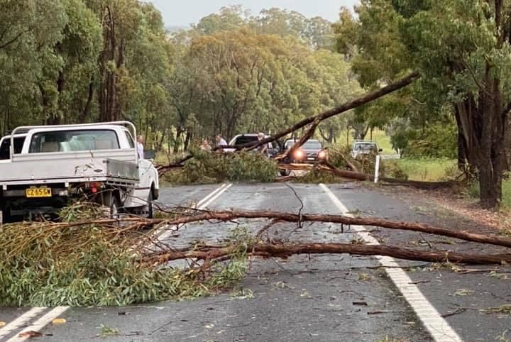 Storm damages homes, brings down trees and cuts power in southern NSW