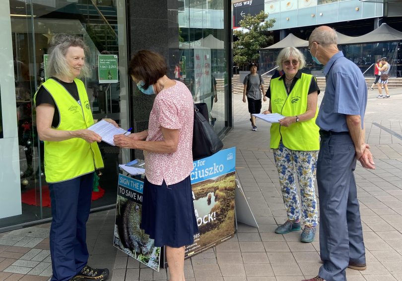 Reclaim Kosci volunteers collecting petition signatures in Hornsby, Sydney.