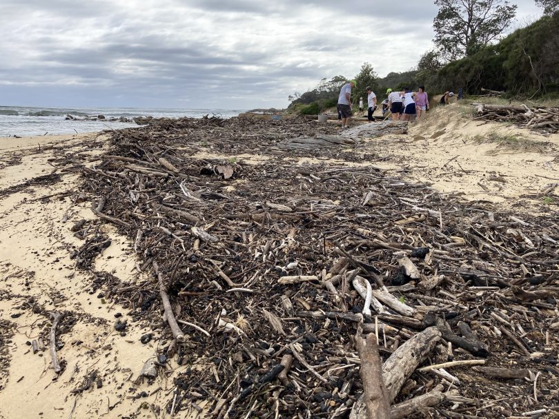 Piles of burnt driftwood on Shelly Beach.
