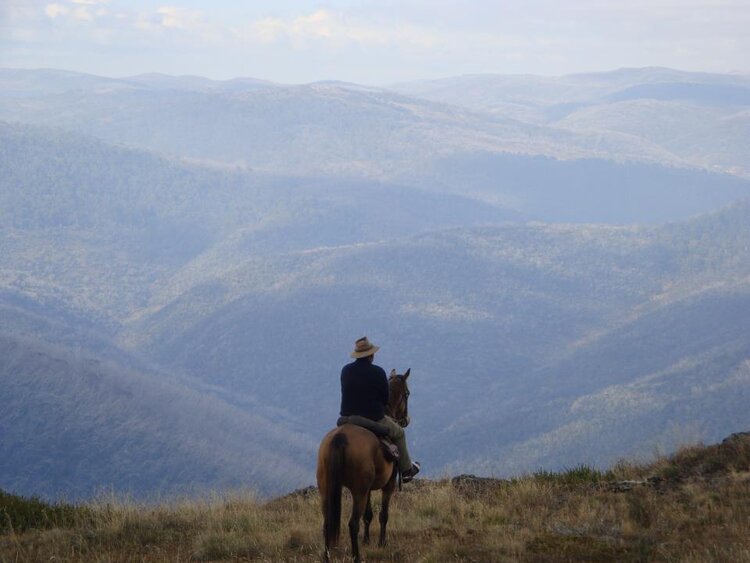 Peter Cochran on horseback looking over Kosciuszko National Park.