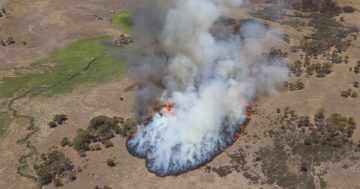 Army crew's failure to report Orroral Valley Fire an 'error of judgement', coroner finds