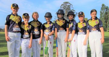 T20 World Cup funds local kids and senior women's cricket teams