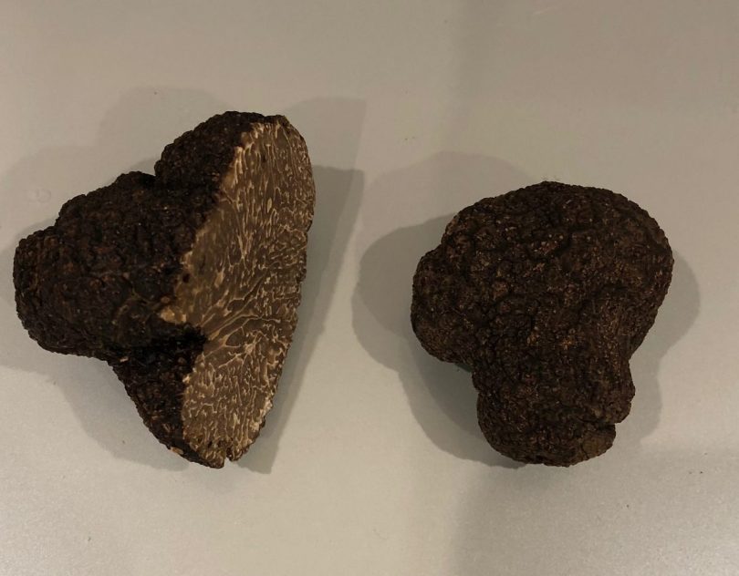 Two truffles, one cut in half.