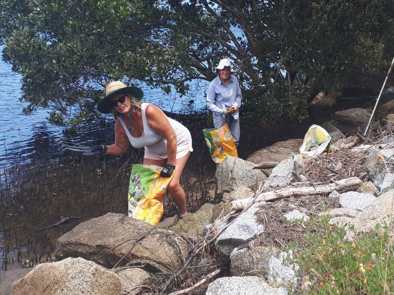 Jane Enright and Lyn Bain clearing Moruya River mangroves of litter.