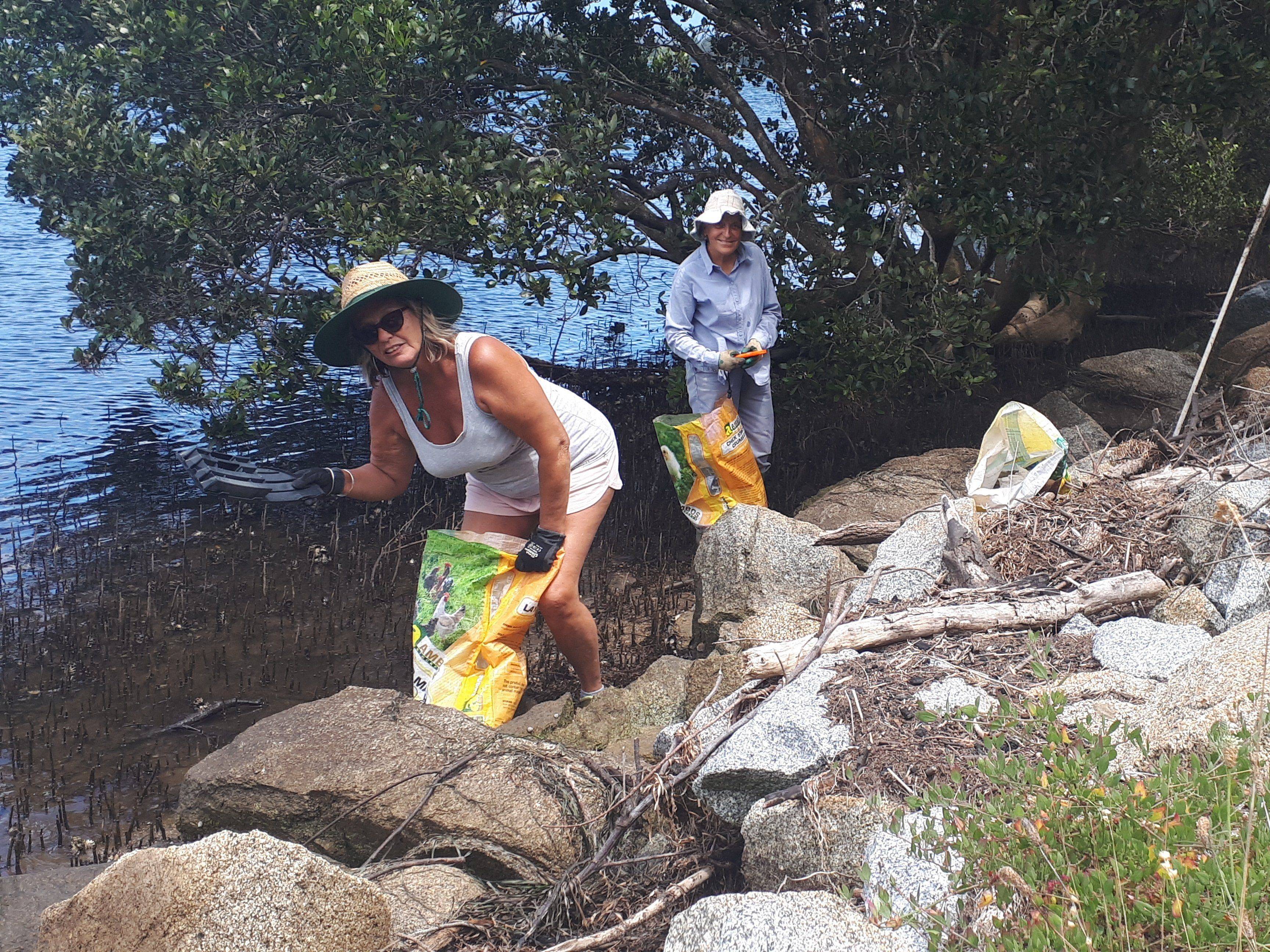 Volunteers collect rubbish from mangroves along north bank of Moruya River