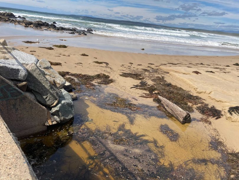 Contaminated storm water at south Broulee Beach