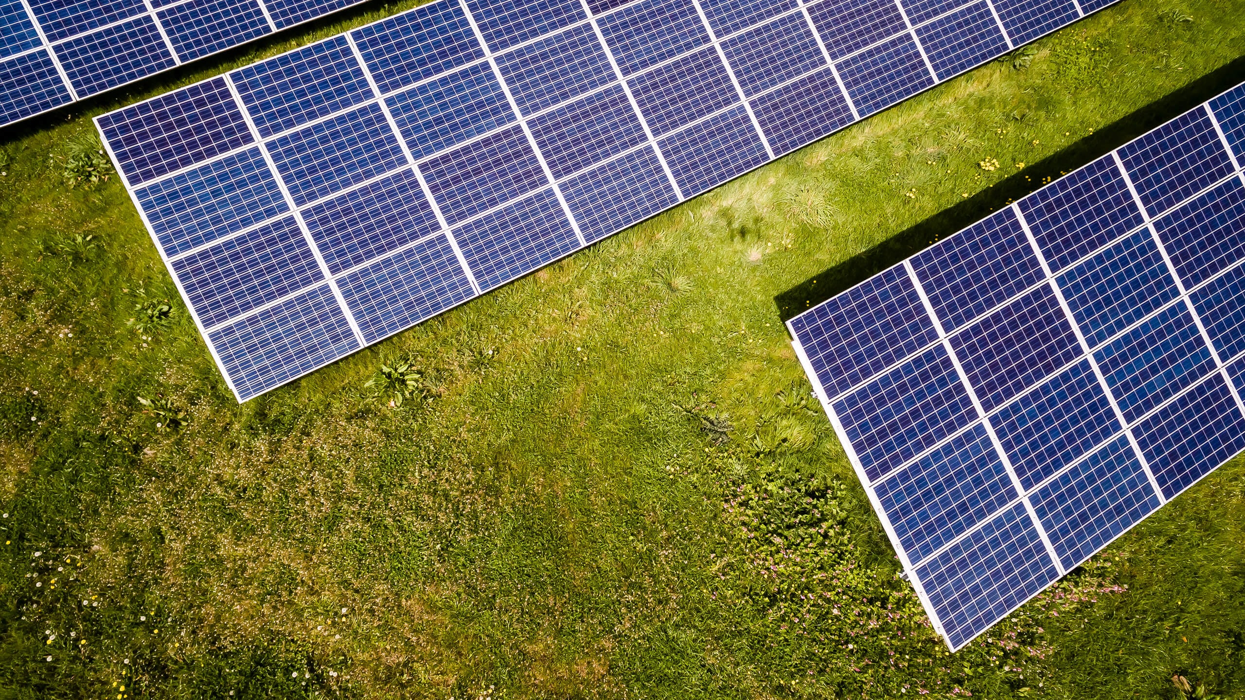 $120 million solar farm approved near ACT border despite community concerns
