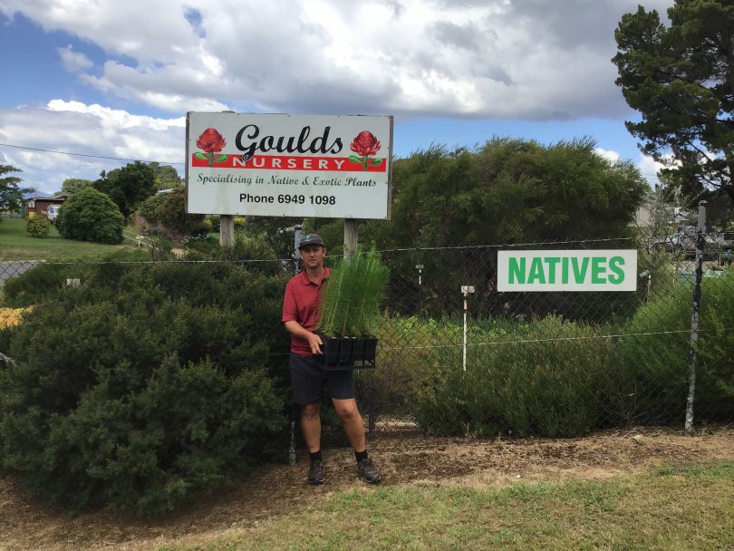 Jamie Gould holding seedlings outside Goulds Nursery in Batlow.