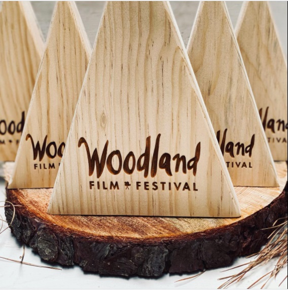 Wooden trophies for Woodland Film Festival.