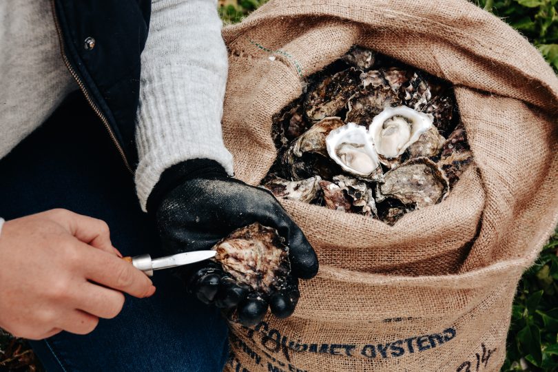 Merimbula Sydney Rock oysters
