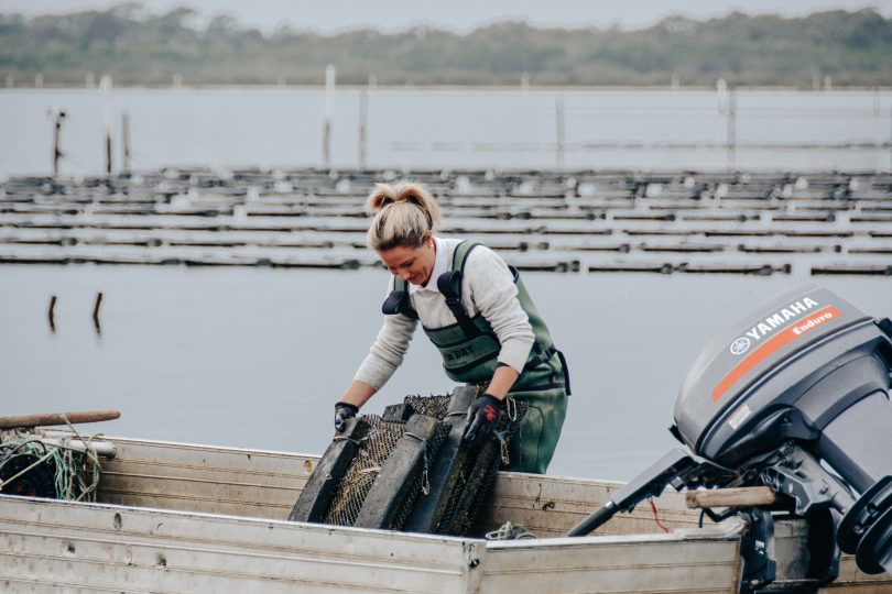 Pip Boyton working on an oyster lease at Merimbula