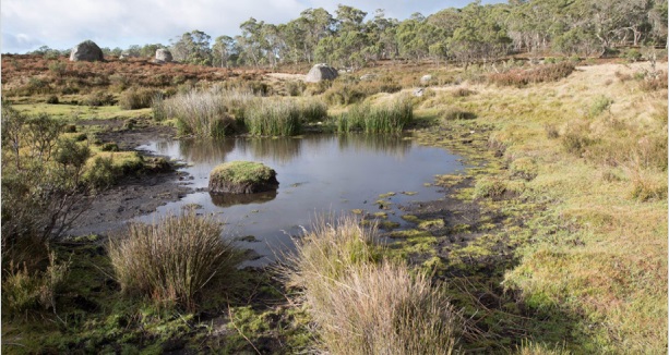 Ginini Flats Wetlands Complex in Namadgi National Park