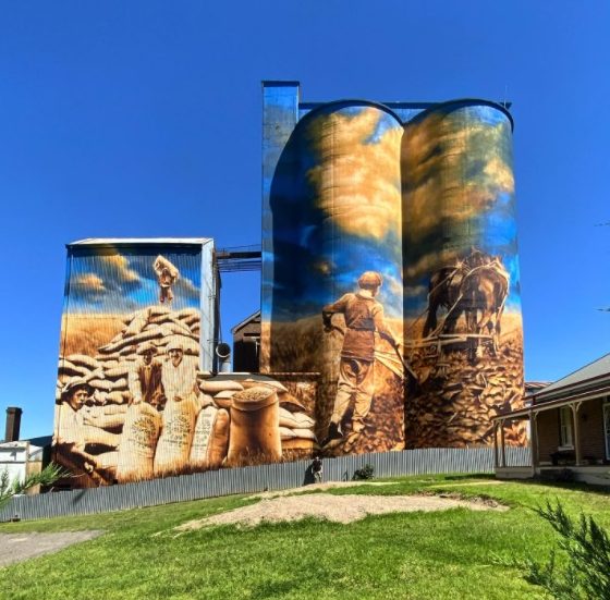 Artist Heesco standing in front of silo mural in Harden-Murrumburrah.