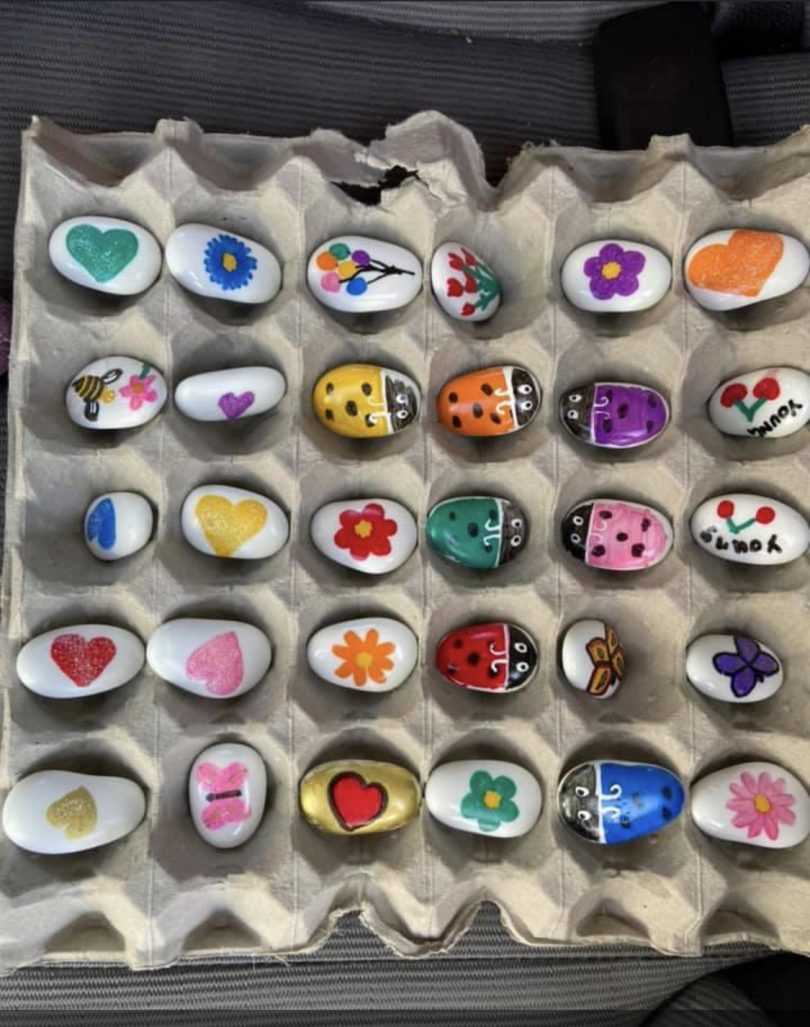 Painted rocks in egg carton.