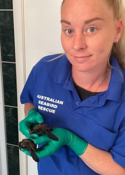 Lauren with some of the rescued hatchlings. Photo: Supplied.