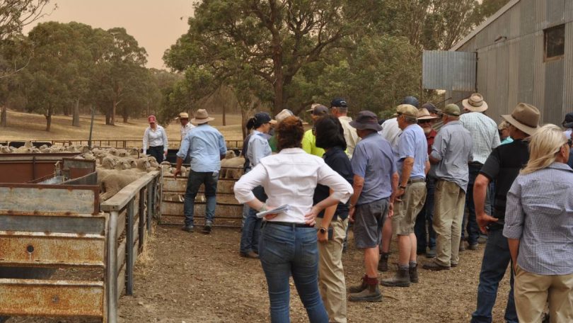 Farmers touring a property during the 2019 Crookwell Flock Ewe Competition.