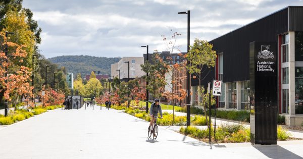 Senate inquiry calls for sweeping reforms to how Australia's unis are run